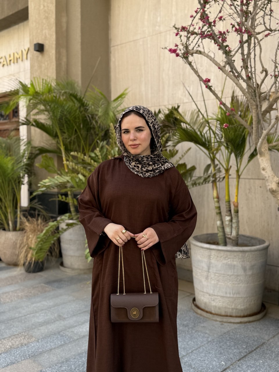 SHOPHIA DRESS